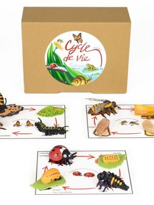 Pacha Echecs® - Jeu du cycle de vie d'insectes Montessori pour enfants