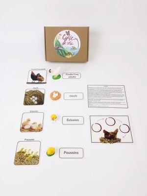 Pacha Echecs® - Cycle de vie de la poule Montessori
