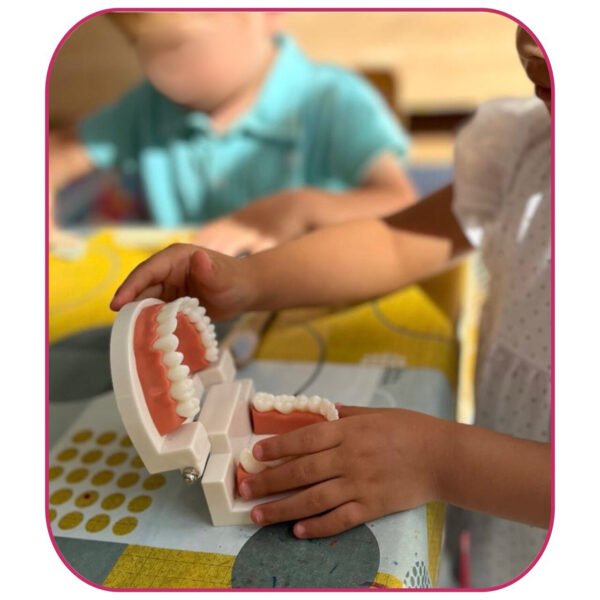 Pratique dents Montessori bouche saine