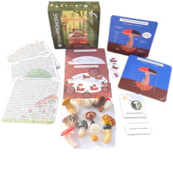 PACHA ECHECS® - Champignons avec Montessori - Matériel éducatif avec Figurines - Découvrez l'Émerveillement de la Nature