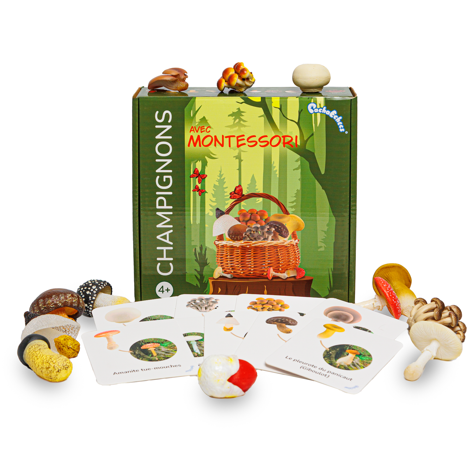 Champignons Pacha Echecs