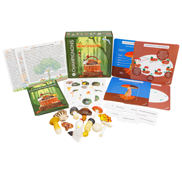 PACHA ECHECS® - Kit éducatif Montessori avec Champignons & Figurines - Éveil naturel à la Biodiversité pour Enfants - Apprendre en s'amusant 🍄🌿 – Image 3