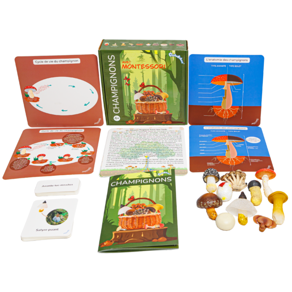 PACHA ECHECS® - Kit éducatif Montessori avec Champignons & Figurines - Éveil naturel à la Biodiversité pour Enfants - Apprendre en s'amusant 🍄🌿 – Image 2